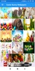 Easter Bunny Wallpapers: HD images Free download screenshot 8