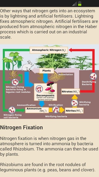 A Level Biology - Preview 1