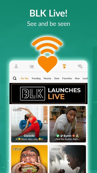 BLK - Preview 6
