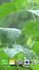 Rainstorm Video Live Wallpaper screenshot 7