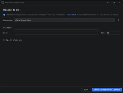 WebStorm screenshot 2