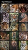 Tiger Wallpapers screenshot 8