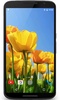 Tulips 4K Video Live Wallpaper screenshot 5