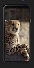 Leopard Wallpapers screenshot 4