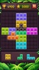 1010!Block Puzzle screenshot 8