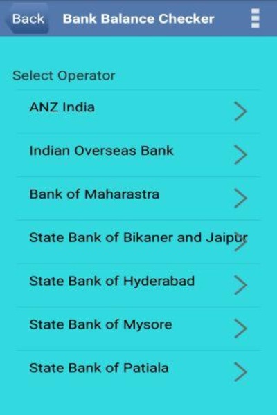 Bank Balance Check Number - Preview 3