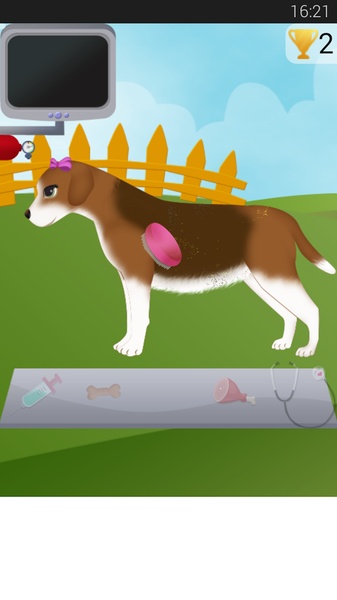 Dog Pregnancy - Preview 5