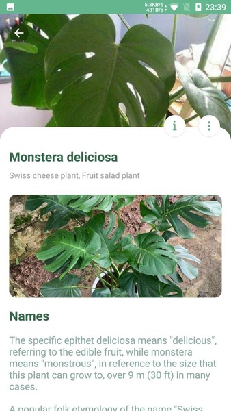NatureID - Preview 10