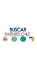 Buscar Patentes Chile screenshot 9