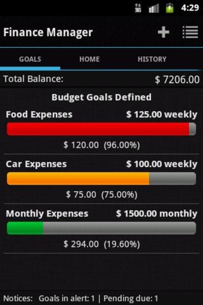 Finance Manager - Preview 4