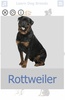 Dog Breeds 🐶 Golden Retriever | Rottweiler screenshot 15