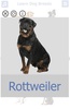 Dog Breeds Golden Retriever | Rottweiler screenshot 16