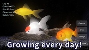 Goldfish 3D Relaxing Aquarium screenshot 3