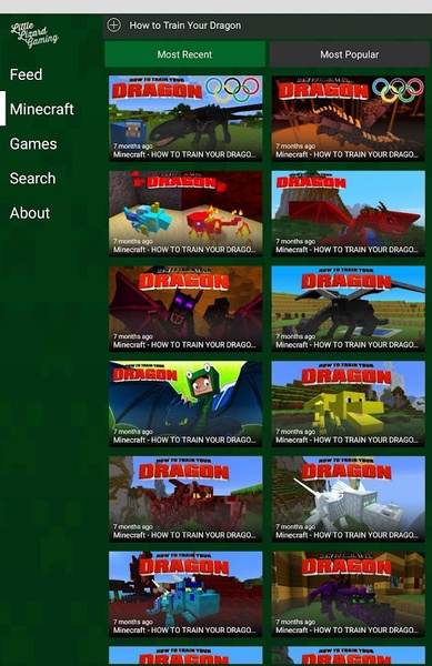 LittleLizardGaming - Preview 10