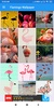 Flamingo Wallpaper: HD images, Free Pics download screenshot 8