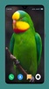 Parrot Wallpapers 4K screenshot 8