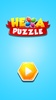 Hexa Puzzle screenshot 7