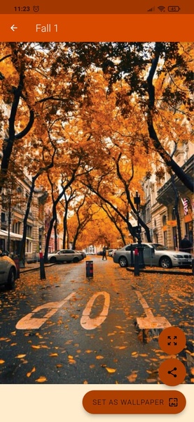 Fall Wallpaper 4K - Preview 7