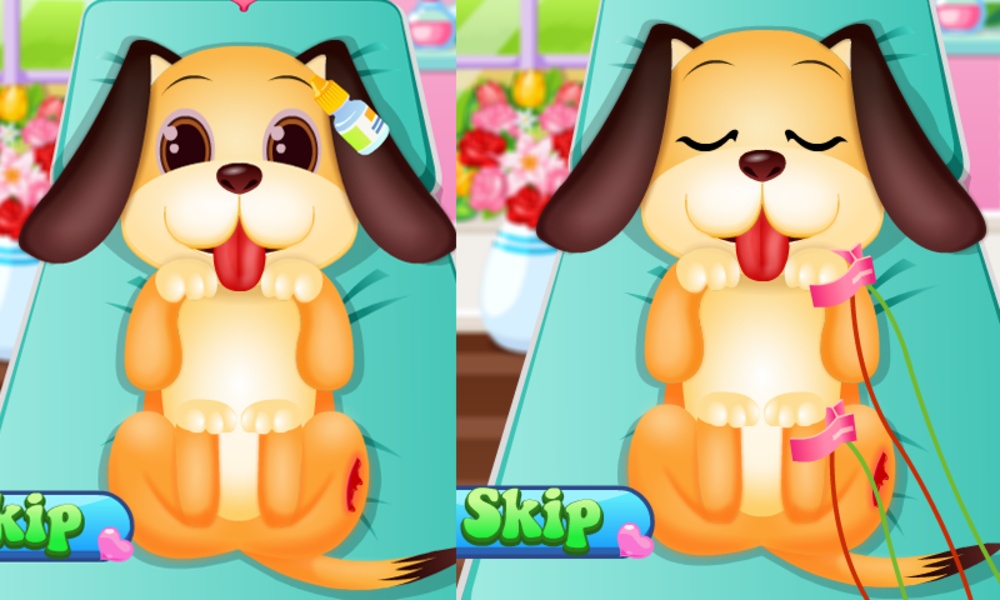 Pet Doctor And Vet Care - Preview 1