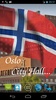 Norway Flag screenshot 6