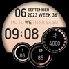 SG-61 screenshot 4