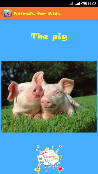 Animals for Kids - Preview 2