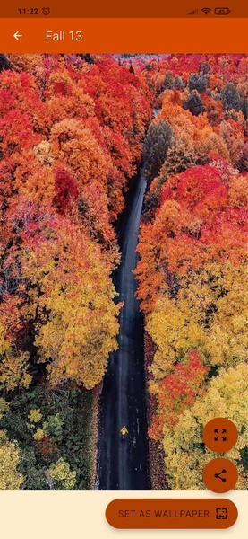 Fall Wallpaper 4K - Preview 8