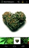 Weed Wallpapers screenshot 4