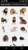 Real Animals Photo Stickers screenshot 7