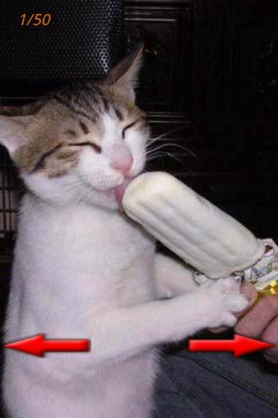 The best funny pictures - Preview 1