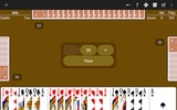 Pinochle - Expert AI screenshot 11