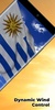 Uruguay Flag screenshot 3