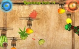 Fruit Knight Slicer screenshot 12