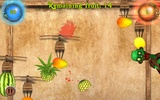 Fruit Knight Slicer screenshot 13