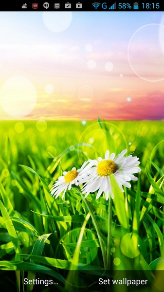 G3 Grass Live Wallpaper - Preview 4