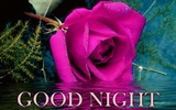 Good Night pictures and wishes, greetings and SMS screenshot 2