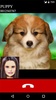 Puppy Fake Video Call Game screenshot 2