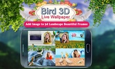 Bird 3D Live Wallpaper screenshot 6