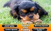 Guess The Puppy Breed Trivia screenshot 1
