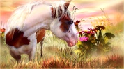 Horse Wallpapers screenshot 5