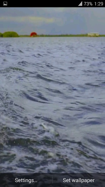 Dolphin 3d. Video Wallpaper - Preview 1