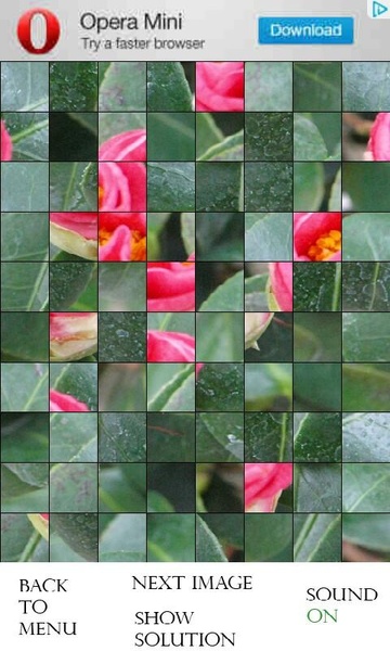 PhotoPuzzle - Flowers free - Preview 2