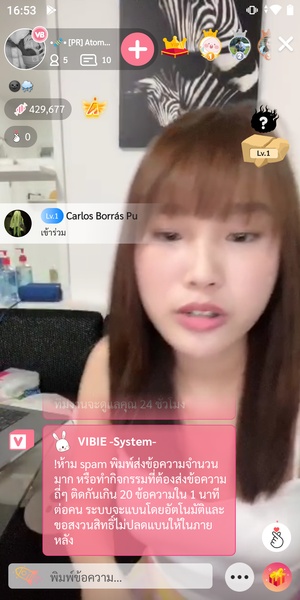 Vibie - Preview 4
