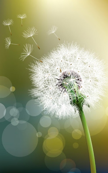 Dandelion Live Wallpaper - Preview 4