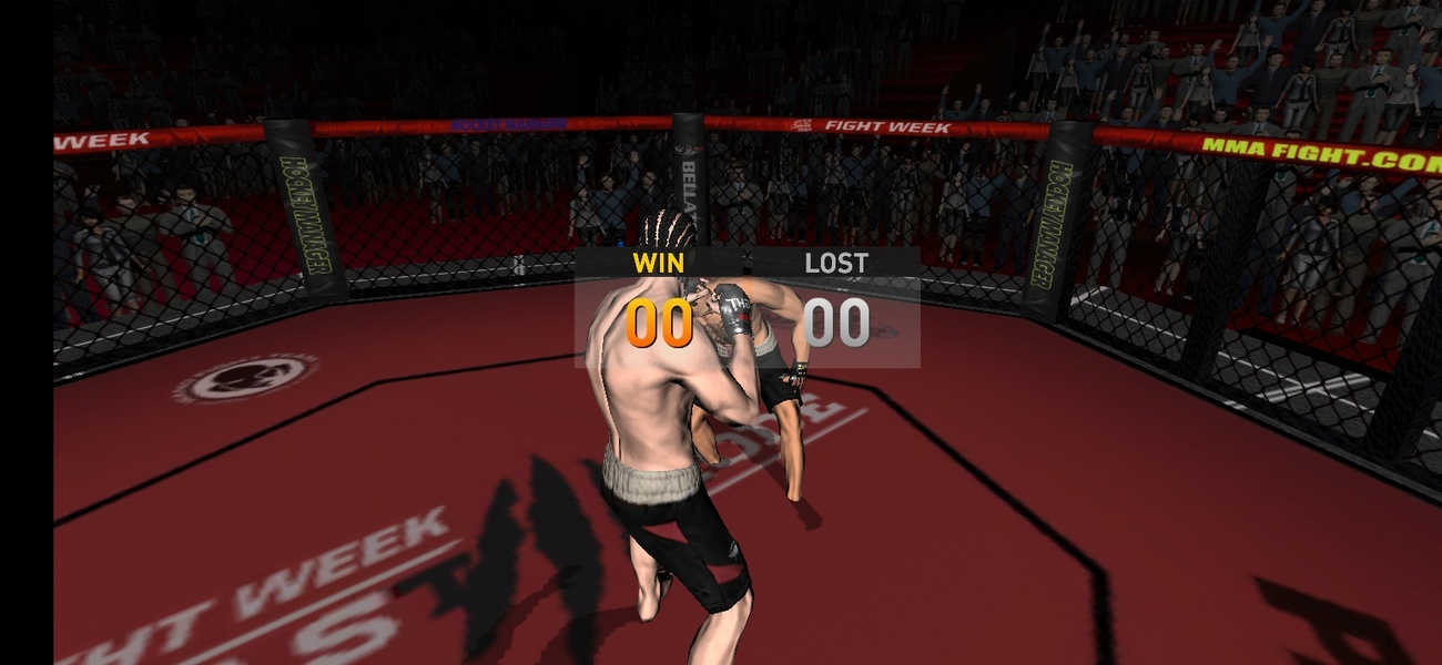 Fight Mania 3D - Preview 10