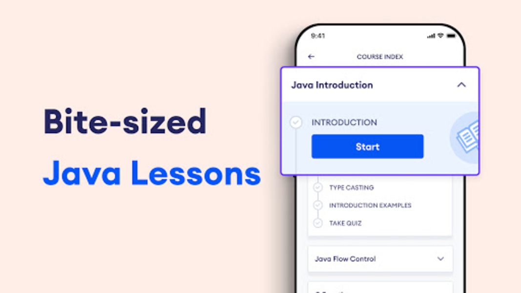 Learn Java: Programiz - Preview 6