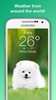 Weather Puppy screenshot 2