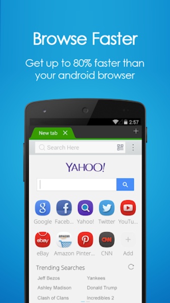 Panda Browser - Preview 9