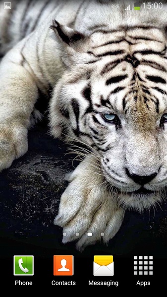 White Tiger Live Wallpaper - Preview 9
