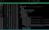 Terminal IDE screenshot 2